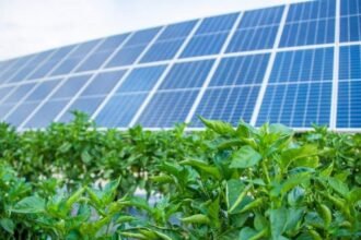 Solar Panels TEAS Passage: A Complete 2025 Guide for Students and Renewable Energy Learners