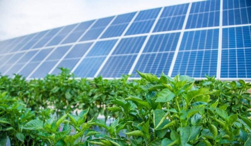 Solar Panels TEAS Passage: A Complete 2025 Guide for Students and Renewable Energy Learners