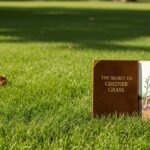 The Secret to Greener Grass Without Fertiliser