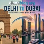 glaadblog org delhi to dubai: Your 2026 Travel Guide