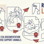 Best Emotional Support Animal Letter Website 2026 - RealESAletter.com Reviewed