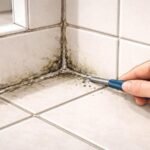 Signs It’s Time to Replace Your Bathroom or Kitchen Grout