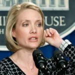 dana perino net worth