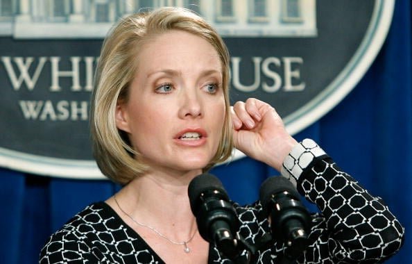 dana perino net worth