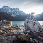 Training in the Himalayas: Why Gokyo Lakes Is Ideal Preparation for Ama Dablam
