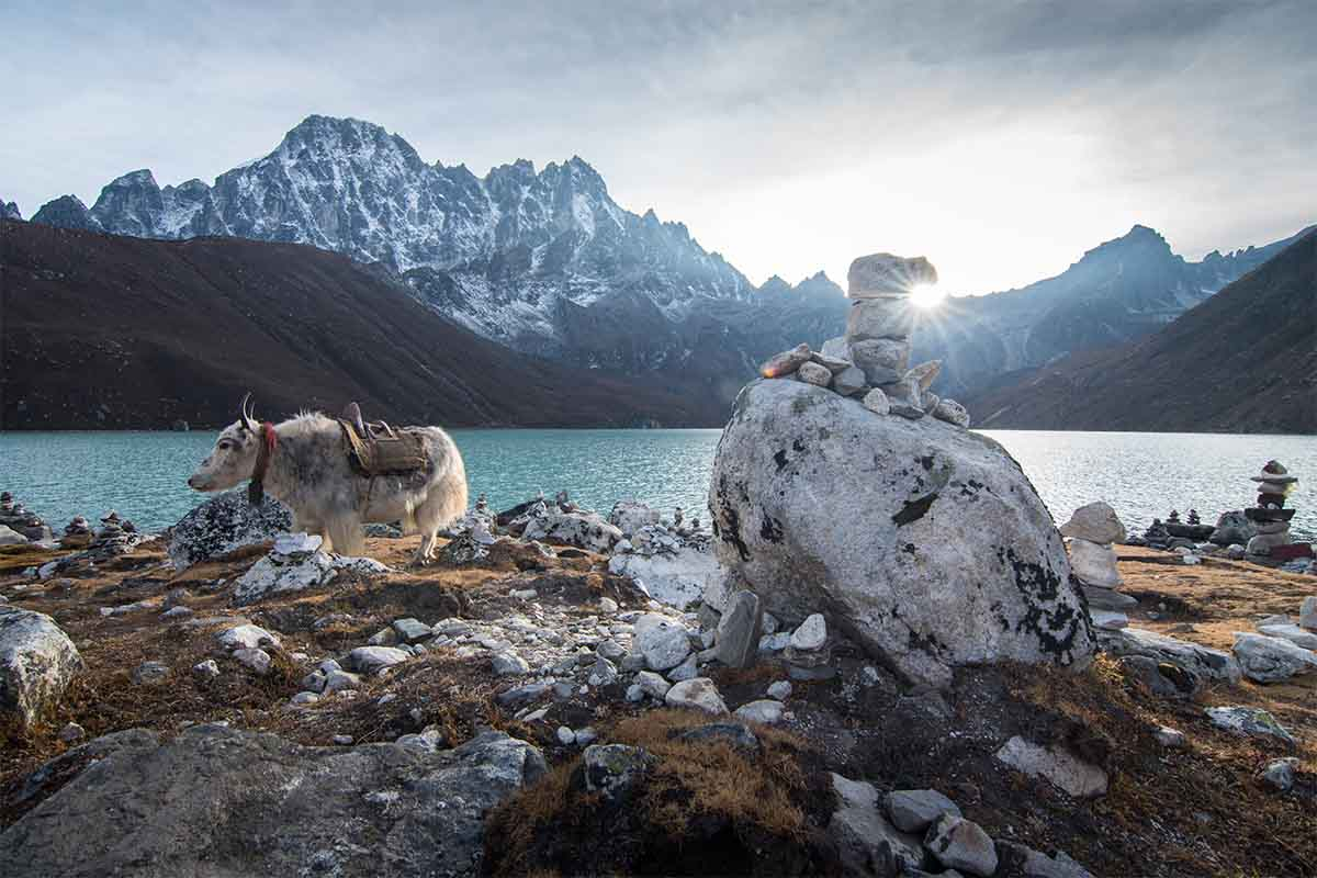 Training in the Himalayas: Why Gokyo Lakes Is Ideal Preparation for Ama Dablam