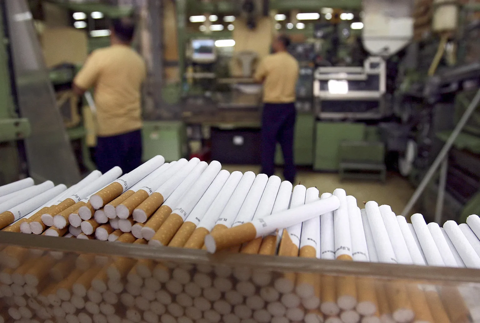 Success of a Cigarette Business with Distribution Networks
