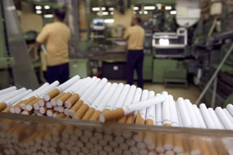 Success of a Cigarette Business with Distribution Networks
