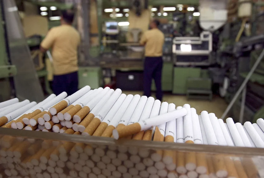 Success of a Cigarette Business with Distribution Networks