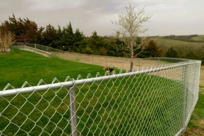 Chain Link Fence in Raleigh
