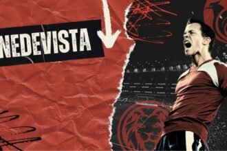 Nedevista: Meaning, Purpose, and Digital Context