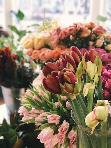 The Visual Impact of Floral Elements in Professional Event Design