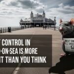 Why Pest Control in Southend-on-Sea Is More Important Than You Think