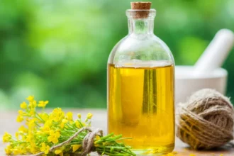 Everything You Need to Know Frying With Canola