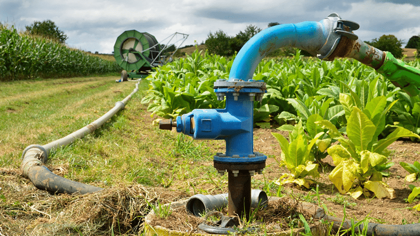 Agricultural Irrigation Pumps: The Ultimate Guide for 2026