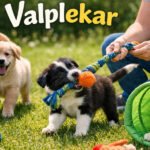 Valplekar: The Simple Puppy Play Secret Every Dog Owner Should Know