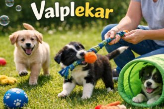 Valplekar: The Simple Puppy Play Secret Every Dog Owner Should Know