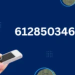 61285034690 : A Simple Guide to Its Meaning and Use