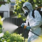 Mosquito-Free Summer Awaits