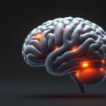 The Psychology Behind Brand Recognition: What Founders Often Miss