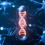 Establishing the Standard: The Pre-Treatment Assessment for Cellular Therapies