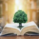 Everything You Need to Know improveville. com