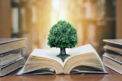 Everything You Need to Know improveville. com