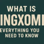 What Is Kingxomiz? Everything You Need to Know