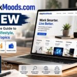 OnlyWorkMoods com Review: Is This Productivity and Lifestyle Platform Actually Worth Your Time?