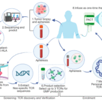 Preparing for Cellular Therapy: The Rigorous Diagnostic Workup