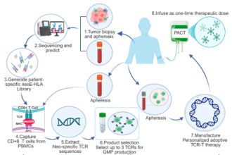 Preparing for Cellular Therapy: The Rigorous Diagnostic Workup
