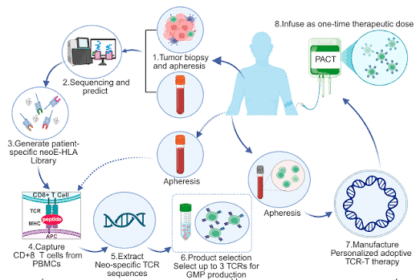 Preparing for Cellular Therapy: The Rigorous Diagnostic Workup