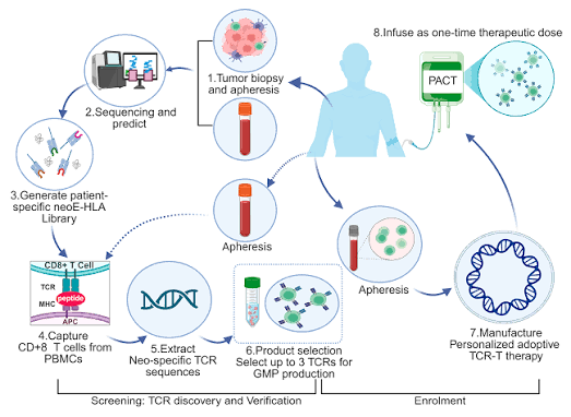 Preparing for Cellular Therapy: The Rigorous Diagnostic Workup