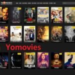 Everything You Need to Know Yomovies