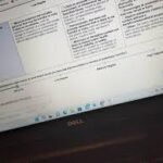 Everything You Need to Know Raterhub