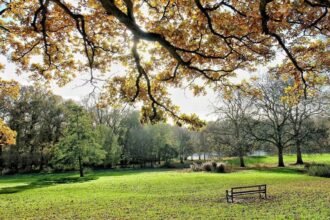 Why Pabington is the Perfect Getaway for Nature Lovers