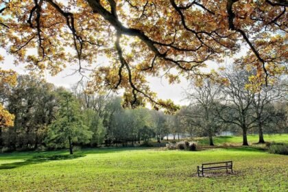 Why Pabington is the Perfect Getaway for Nature Lovers