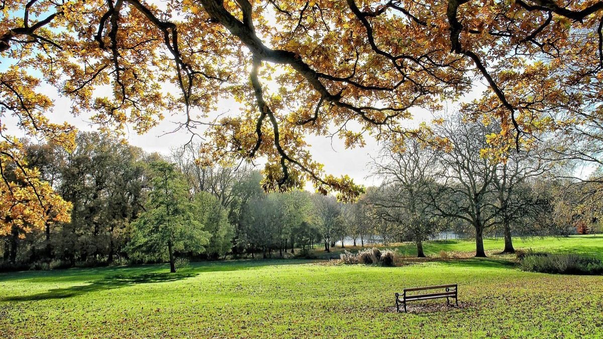 Why Pabington is the Perfect Getaway for Nature Lovers