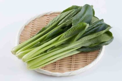 Yalla Choy – Versatile Green Leaf Nutritional Benefits