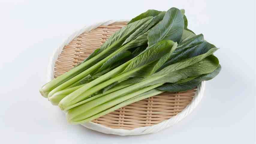 Yalla Choy – Versatile Green Leaf Nutritional Benefits