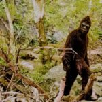 Appalachian Folklore, Monsters and Superstitions