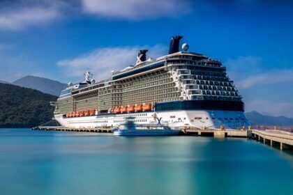 Everything You Need to Know Celebrity Silhouette Reviews