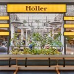 Everything You Need to Know The Holler