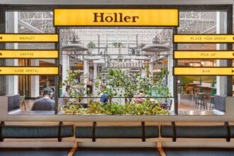 Everything You Need to Know The Holler