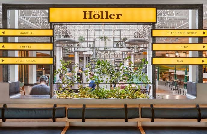 Everything You Need to Know The Holler