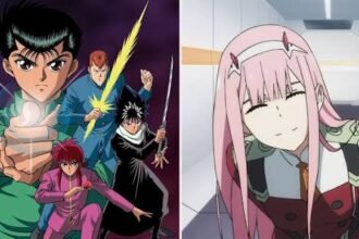 Everything You Need to Know WCO Anime